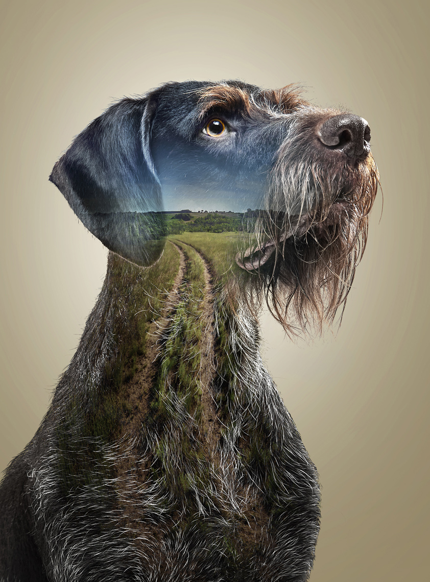 GarminAlphaDogs-Final-2