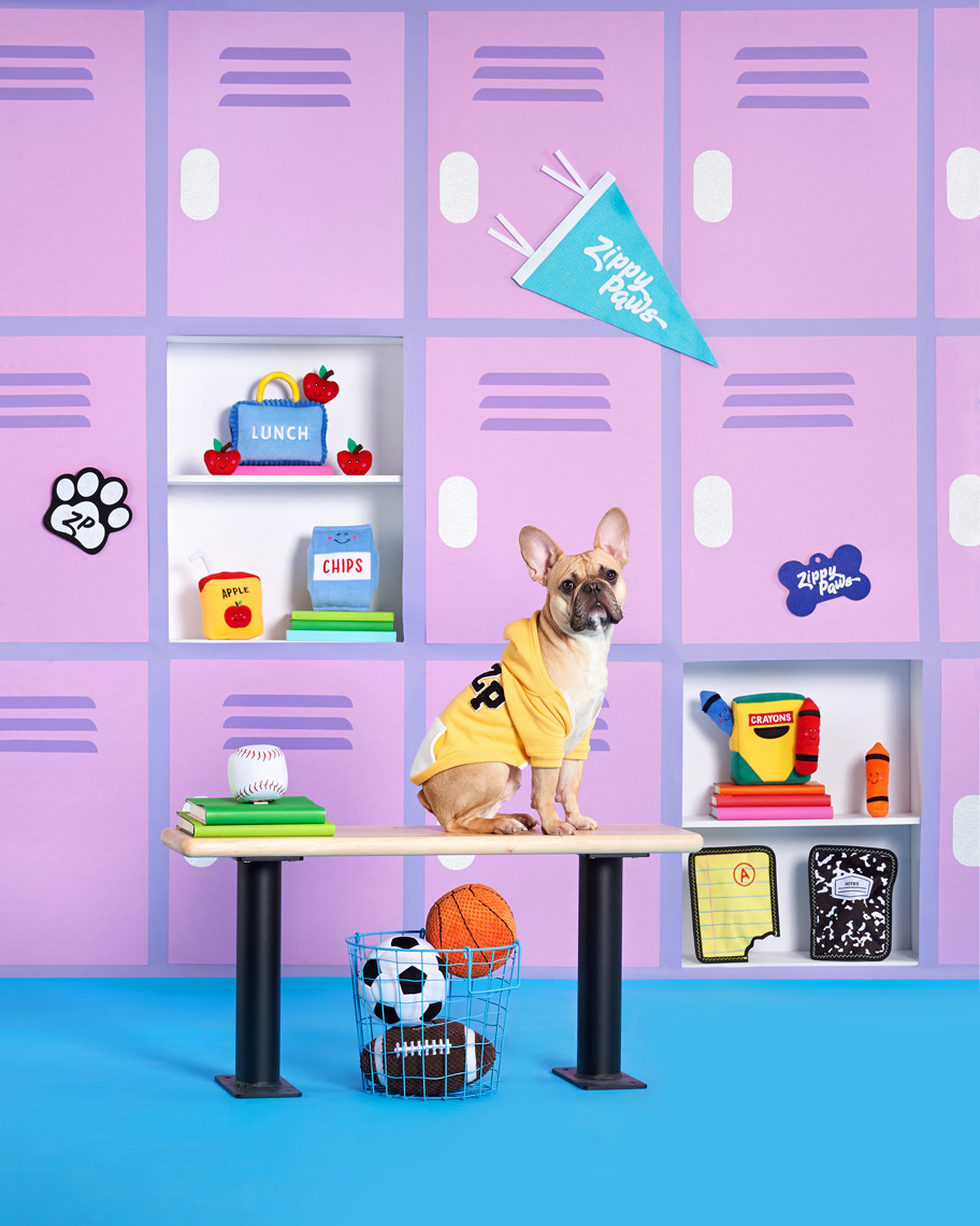 ZP-BTS-02282019_3346_V3